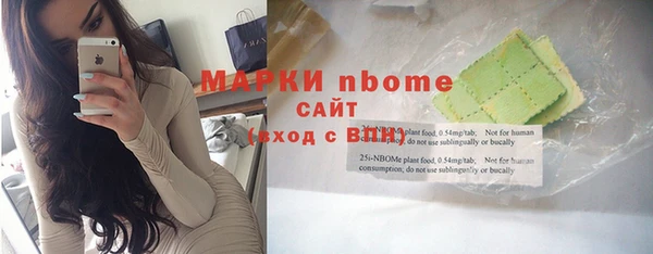 твердый Протвино