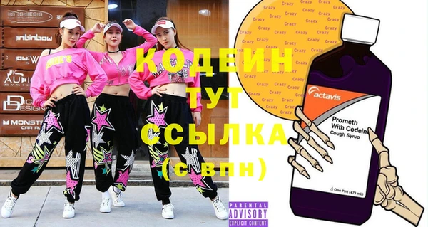 твердый Протвино
