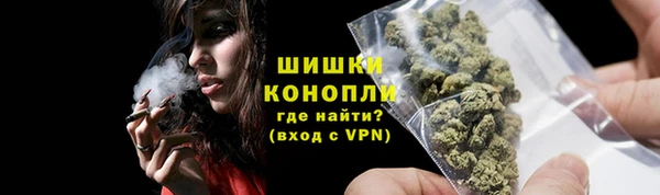твердый Протвино
