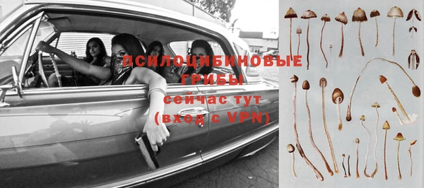 ешки Пролетарск