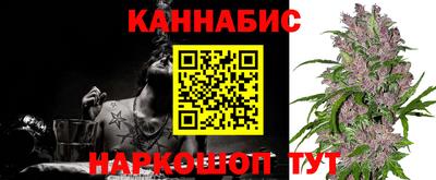 стаф Канаш