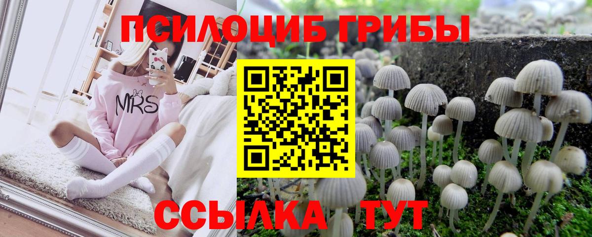 Меф МЯУ МЯУ кристаллы  АМФ кристаллы  Кокаин  ЭКСТАЗИ  Лыткарино  Вход с VPN  Бошки Шишки  МЕФ  Гашиш 