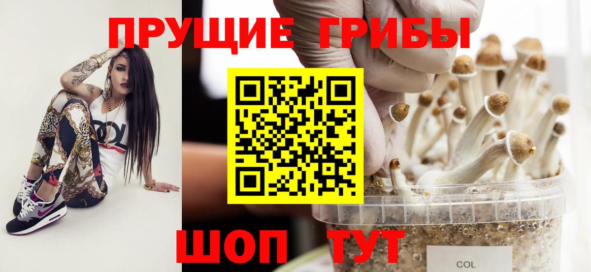 Псилоцибиновые грибы мицелий  Лыткарино 