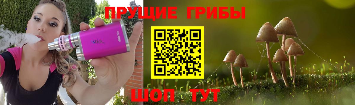 Лыткарино  где купить наркоту  Псилоцибиновые грибы GOLDEN TEACHER  Вход с VPN  Псилоцибиновые грибы MAGIC MUSHROOMS 